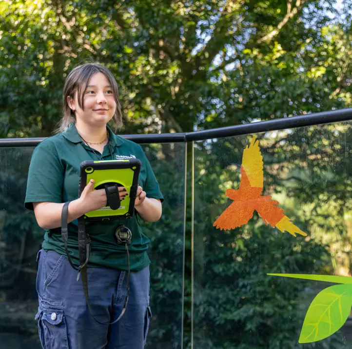 Behavioural Watch Volunteer outside enclosure