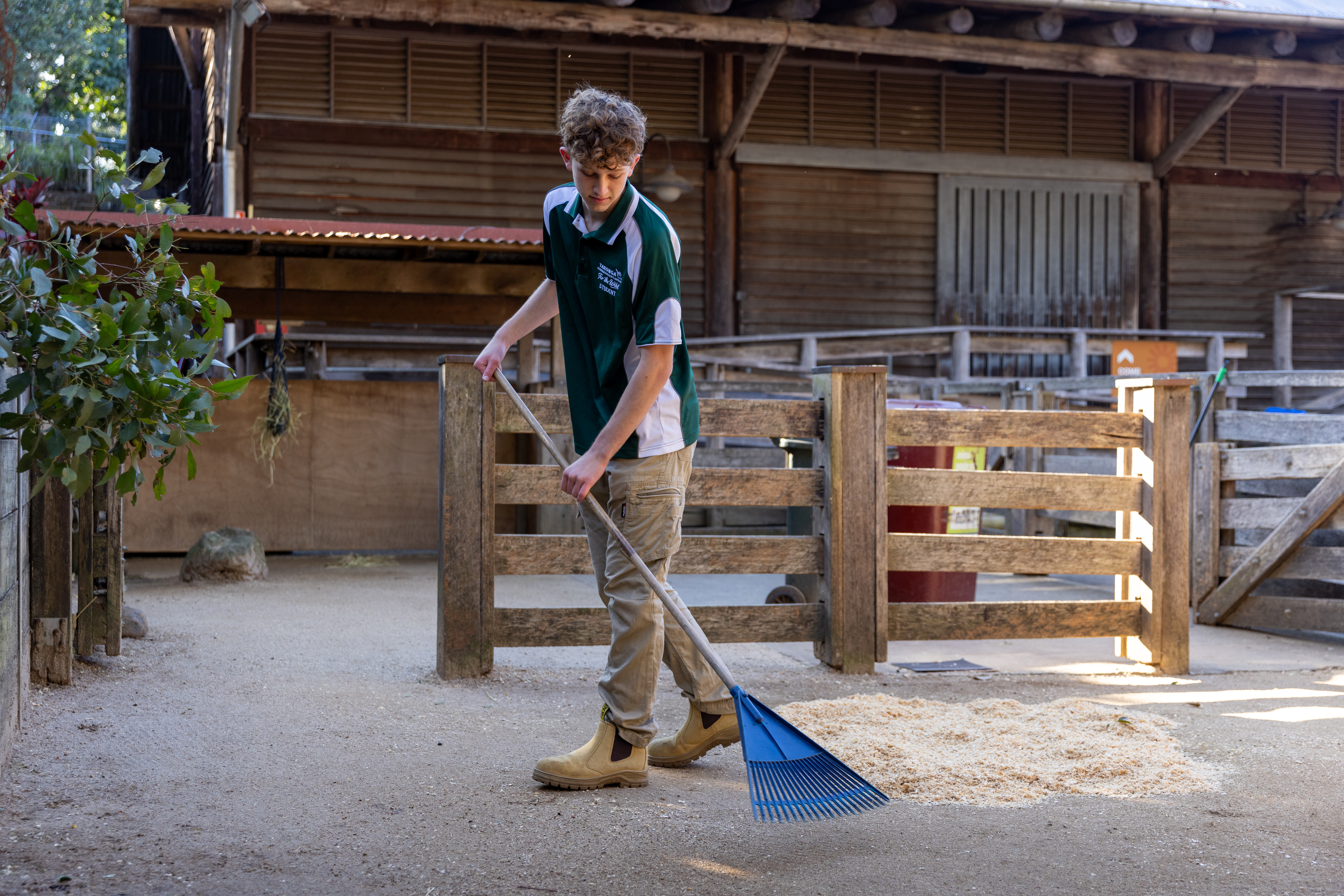 Student completing enclosure maintenance during a hands‑on animal care learning session.